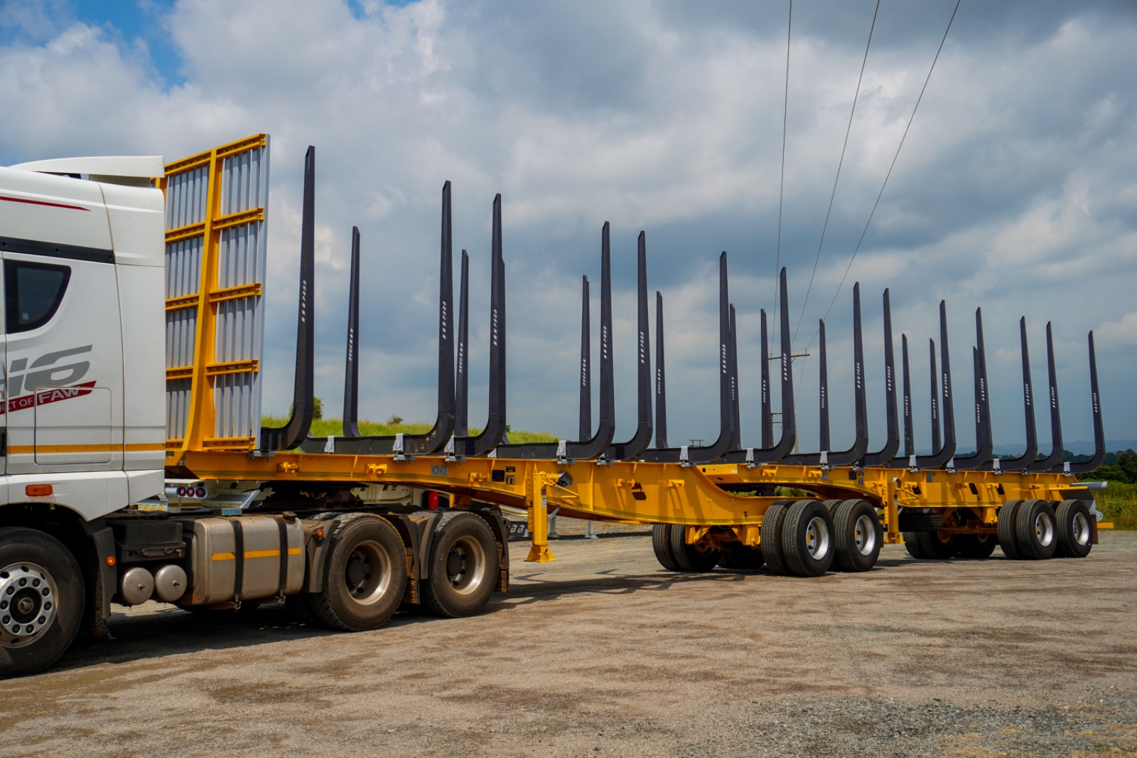 6-12 Timber Skeletal